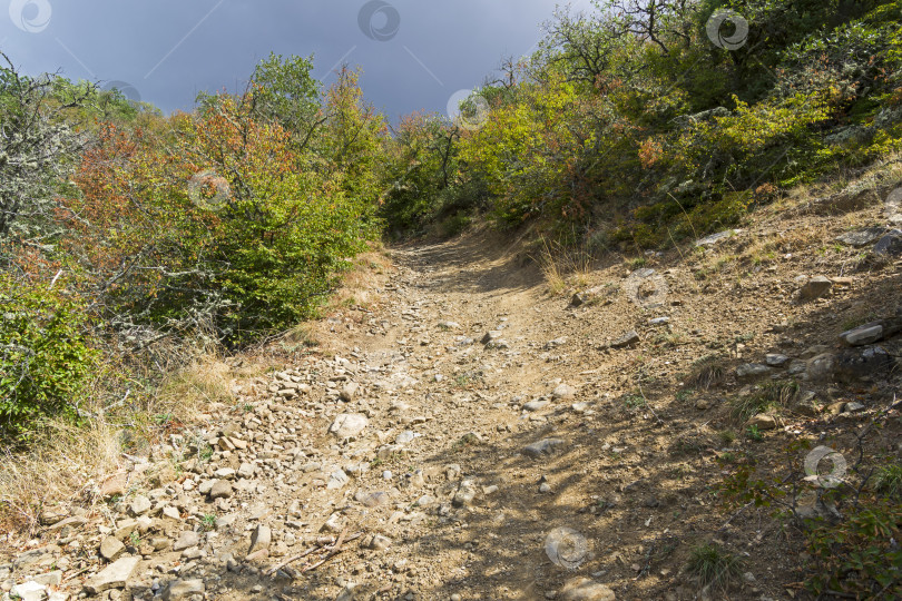 Скачать Крутой спуск по грунтовой дороге в горном лесу. фотосток Ozero