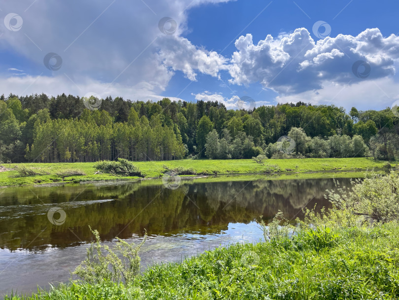 Скачать Русло реки с зелеными берегами. Красивое небо с белыми облаками. фотосток Ozero