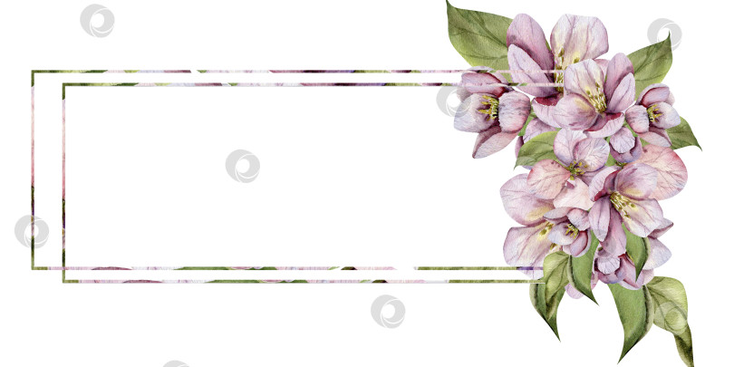 Скачать Акварельная рамка с цветочным рисунком "Яблоневый цвет". Весенние цветы с зелеными листьями, нарисованные вручную, в романтическом оформлении баннера для свадьбы, поздравительной открытки, приглашения. Цветы вишни фотосток Ozero
