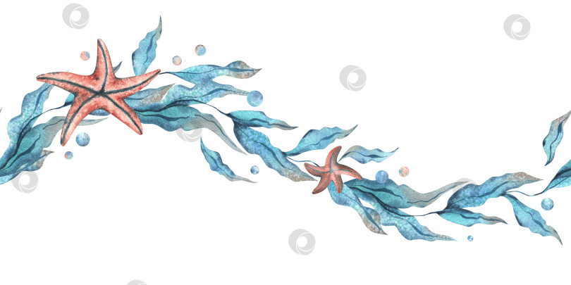 Скачать Морские водоросли в форме волны с морскими звездами и водяными пузырьками. Акварельная иллюстрация, выполненная вручную в бирюзовых и коралловых тонах. Бесшовная кайма, узор изолирован от фона. фотосток Ozero