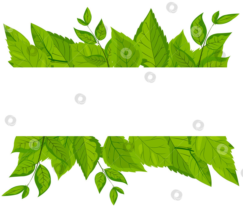 Скачать Вектор с изображением квадратной белой рамки, украшенной яркими зелеными листьями. Рамку обрамляет пышная листва, создавая свежую, естественную и экологичную тематику. Макет, шаблон фотосток Ozero