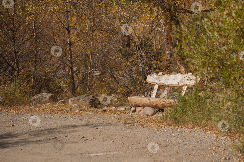 Скачать Скамейка из ствола дерева в горном парке фотосток Ozero