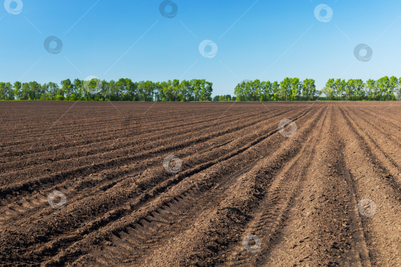 Скачать Вспаханные сельскохозяйственные угодья с коричневой почвой. фотосток Ozero