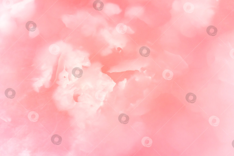 Скачать Светло-розовый размытый фон из розового нефрита фотосток Ozero
