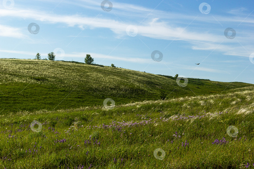 Скачать Весенние поля фотосток Ozero