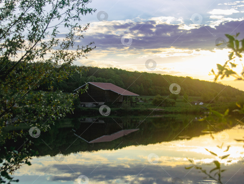 Скачать Озеро Сколково фотосток Ozero