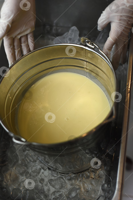 Скачать Основа для приготовления мороженого из авокадо внутри льда крупным планом фотосток Ozero