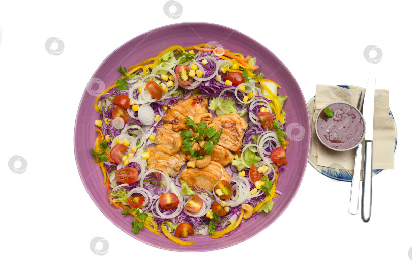 Скачать Обжаренный на сковороде цыпленок на фиолетовой тарелке с зеленью и тутовым соусом на белом фоне фотосток Ozero