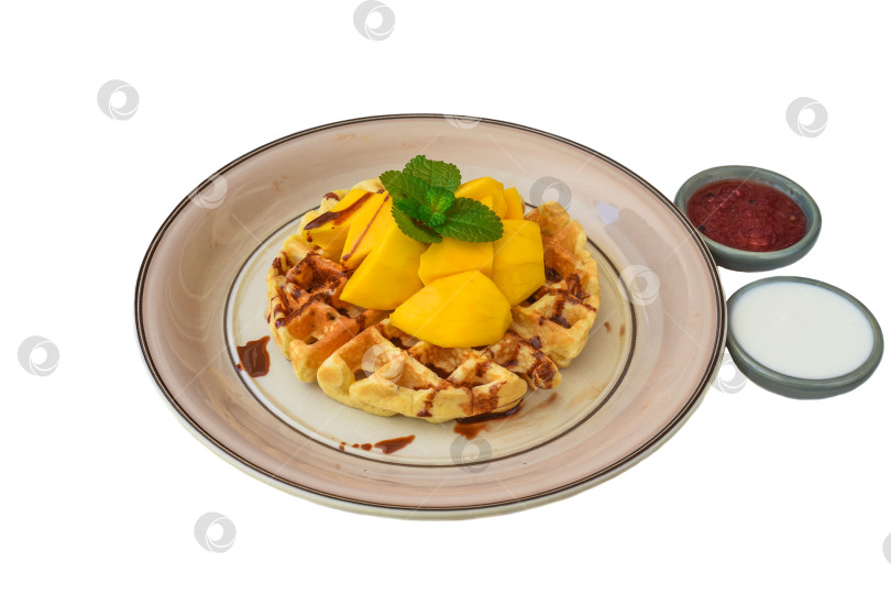 Скачать Бельгийские вафли с ломтиками манго на тарелке с тропическим топпингом и йогуртовым соусом фотосток Ozero