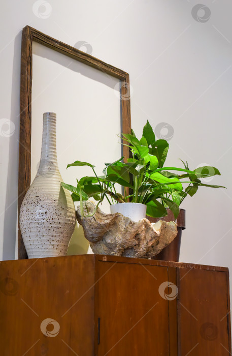 Скачать Детали интерьерной вазы из натуральной морской раковины с растением и пустой рамкой для стиля лофт фотосток Ozero