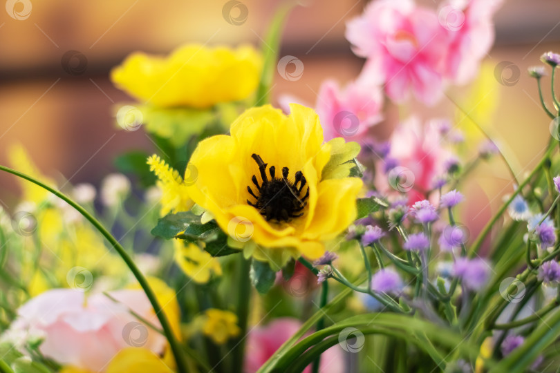 Скачать Серединка желтого цветка с черными лепестками, окруженная другими фотосток Ozero