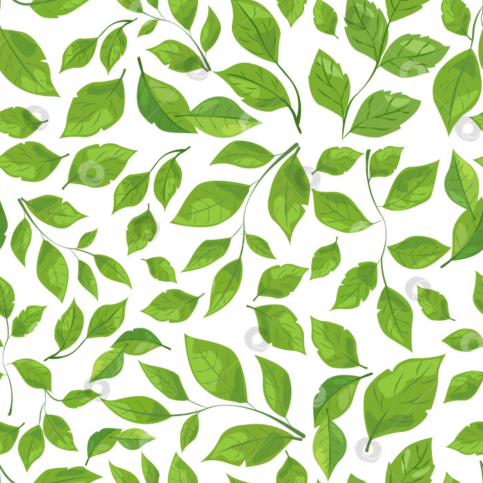 Скачать бесшовный узор из зеленых листьев различных оттенков и форм на белом фоне. Идеально подходит для оформления на природную тематику, экологичной упаковки и ботанических иллюстраций фотосток Ozero