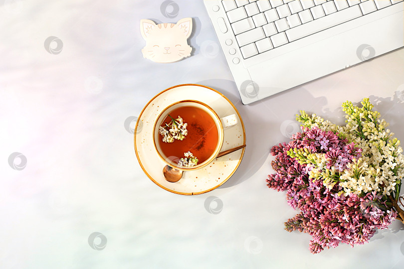 Скачать Современный женский письменный стол для домашнего офиса. Компьютер, цветы сирени и чашка цветочного чая на солнечном столе с длинными тенями, концепция стиля жизни, комфортная работа из дома, шаблон для дизайна, ровная поверхность, фотосток Ozero