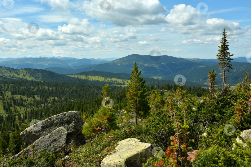 Скачать Скалистый склон высокой горы, поросший хвойным лесом, возвышается над горными хребтами под летним облачным небом. фотосток Ozero