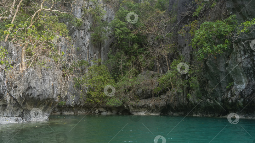 Скачать Изумрудная лагуна окружена отвесными карстовыми скалами. фотосток Ozero