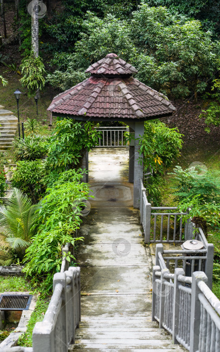 Скачать Пешеходная дорожка в ботаническом саду Пердана в Куала-Лумпуре, Малайзия фотосток Ozero