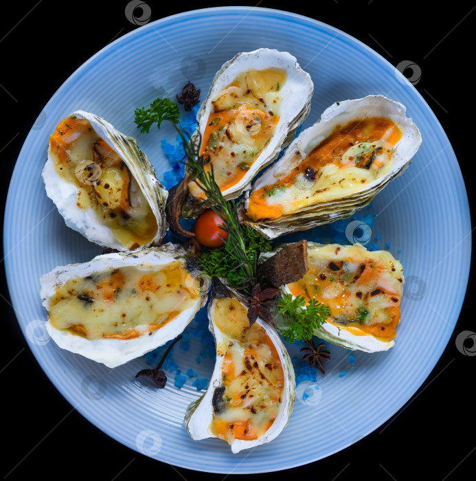 Скачать устрицы, запеченные с сыром на тарелке с голубой солью, выделенные черным цветом, вид сбоку фотосток Ozero