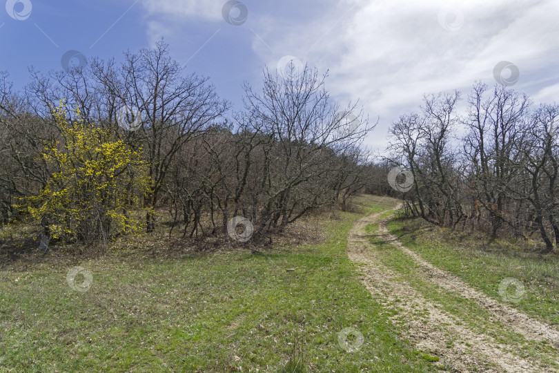 Скачать Грунтовая дорога в горах. Крым. фотосток Ozero