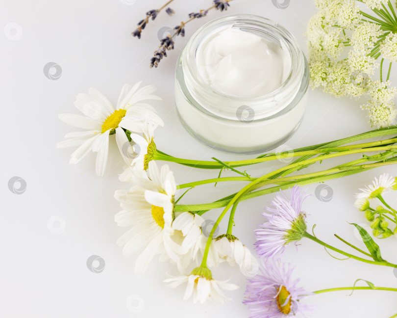Скачать Натуральные сливки и полевые цветы на белом фоне фотосток Ozero