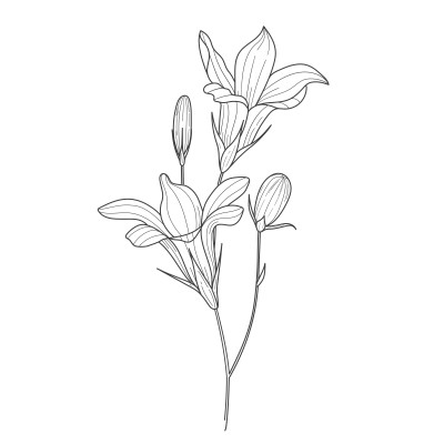 [object Object] undefined