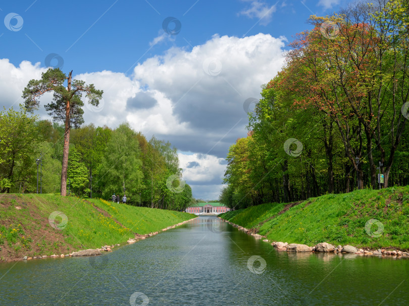 Скачать Прекрасный летний пейзаж рядом с усадьбой Кусково, Москва. фотосток Ozero