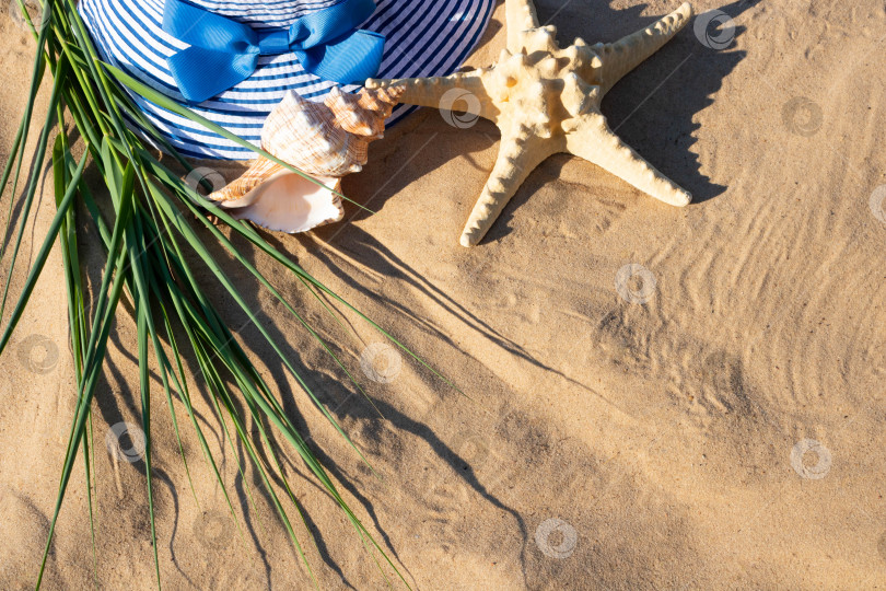 Скачать Ярким летним днем на песке лежат летняя шляпа в синюю полоску, большая раковина и морская звезда фотосток Ozero