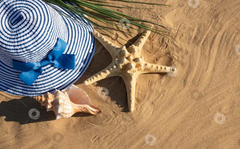 Скачать Ярким летним днем на песке лежат летняя шляпа в синюю полоску, большая раковина и морская звезда фотосток Ozero
