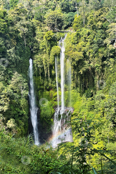 Скачать Красивый водопад в лесу с пышной зеленью и радугой над головой фотосток Ozero