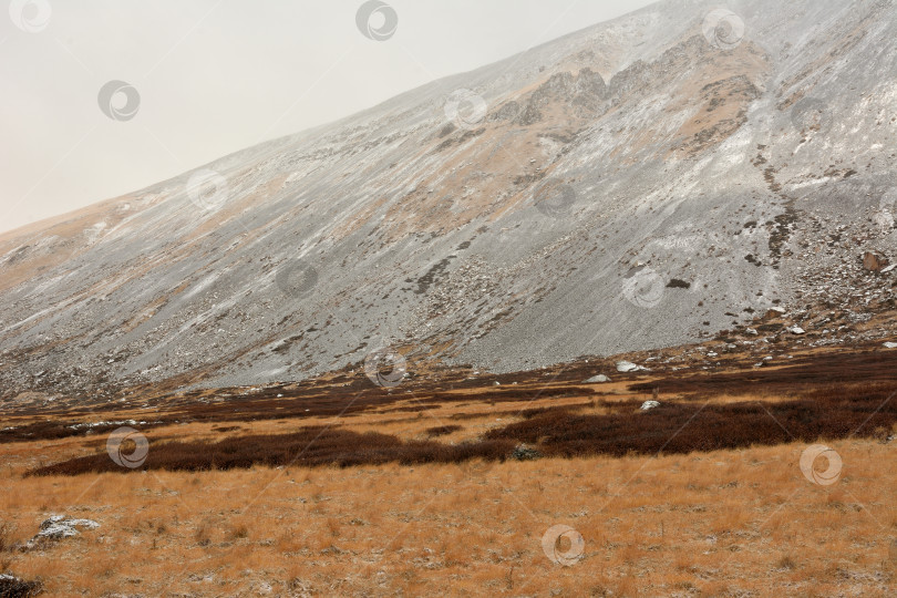 Скачать Крутой склон высокой горы с мелким гравием на склонах, присыпанных первым снегом, на краю поляны с пожелтевшей травой в пасмурный осенний день. фотосток Ozero