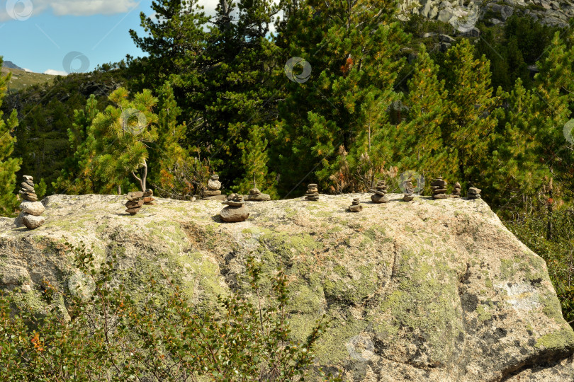 Скачать Несколько небольших каменных пирамидок, сложенных на большом плоском камне на фоне густого хвойного леса. фотосток Ozero