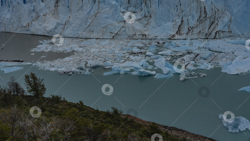 Скачать Растаявшие льдины и их обломки плавают в бирюзовом ледниковом озере. фотосток Ozero