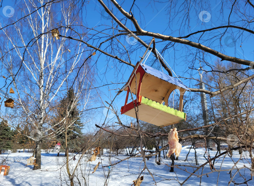 Скачать Деревянная кормушка для птиц на ветке дерева для птиц в сельской местности зимой. фотосток Ozero