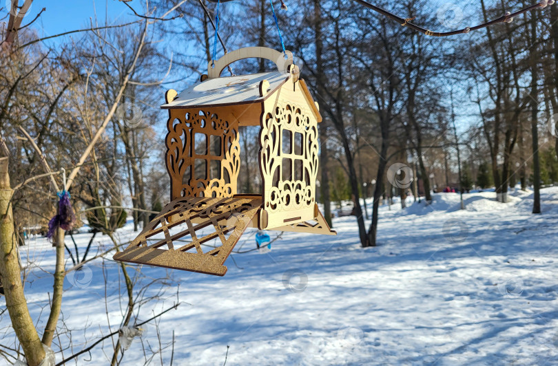 Скачать В зимнем парке на ветке дерева висит деревянная кормушка для птиц фотосток Ozero