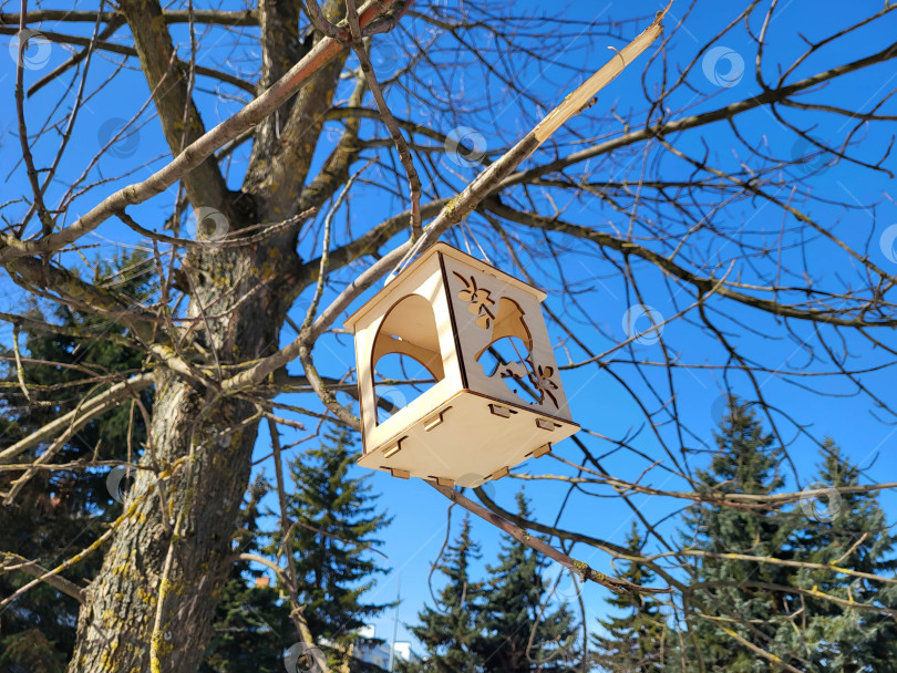 Скачать В зимнем парке на ветке дерева висит деревянная кормушка для птиц фотосток Ozero