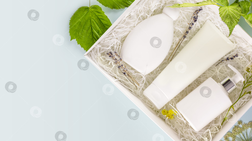 Скачать Подарок, белая коробка с натуральными косметическими средствами и зелеными листьями фотосток Ozero
