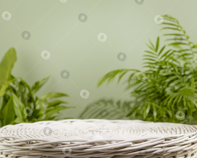 Скачать Пустой подиум на зеленом фоне с зелеными листьями фотосток Ozero