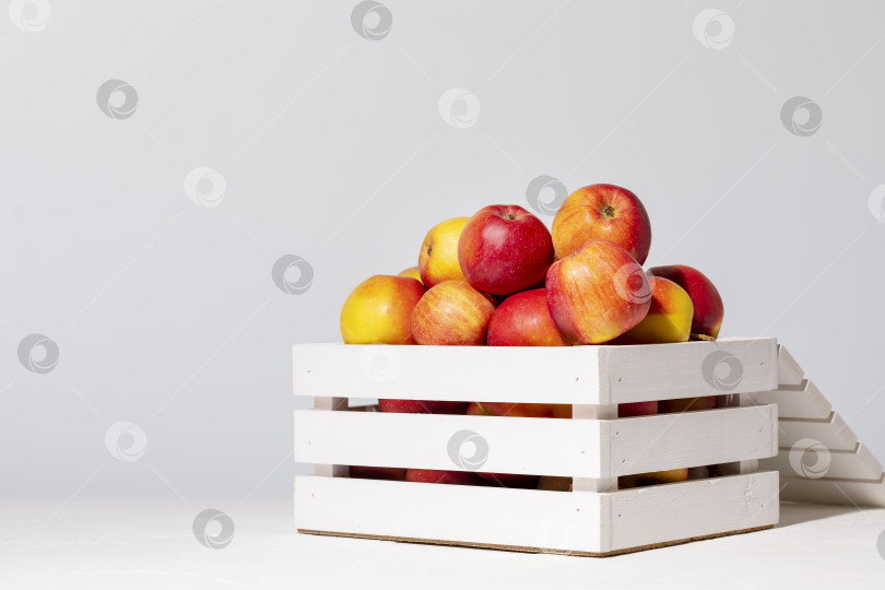 Скачать Фермерские яблоки в белом деревянном ящике с местом для копирования фотосток Ozero