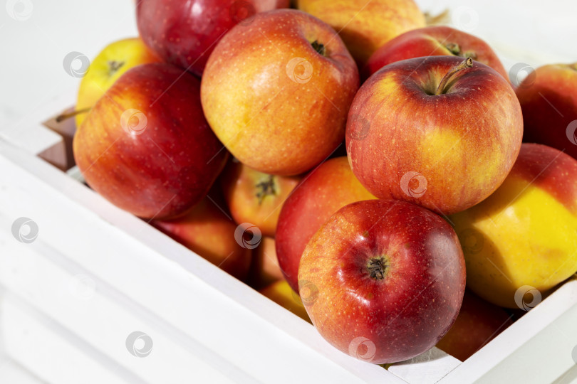 Скачать Натуральные фермерские красные яблоки в деревянной коробке фотосток Ozero