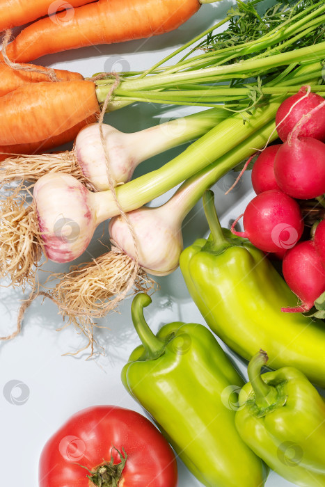 Скачать Приправьте натуральные овощи на синем фоне фотосток Ozero