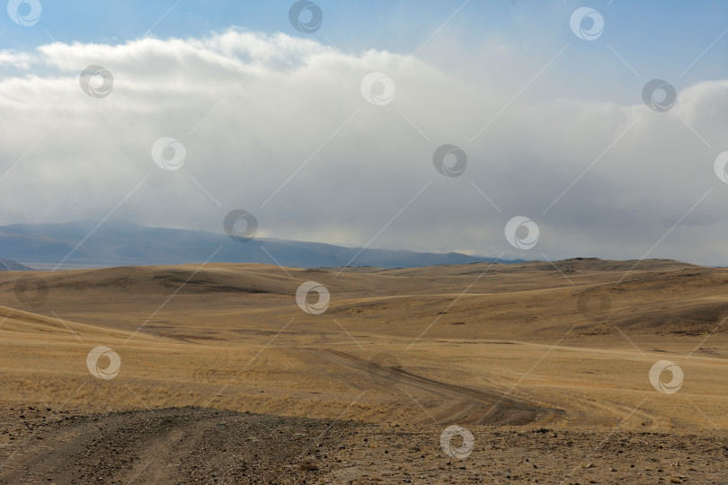 Скачать Пасмурным осенним днем полевая дорога спускается с вершины холма в засушливую долину. фотосток Ozero