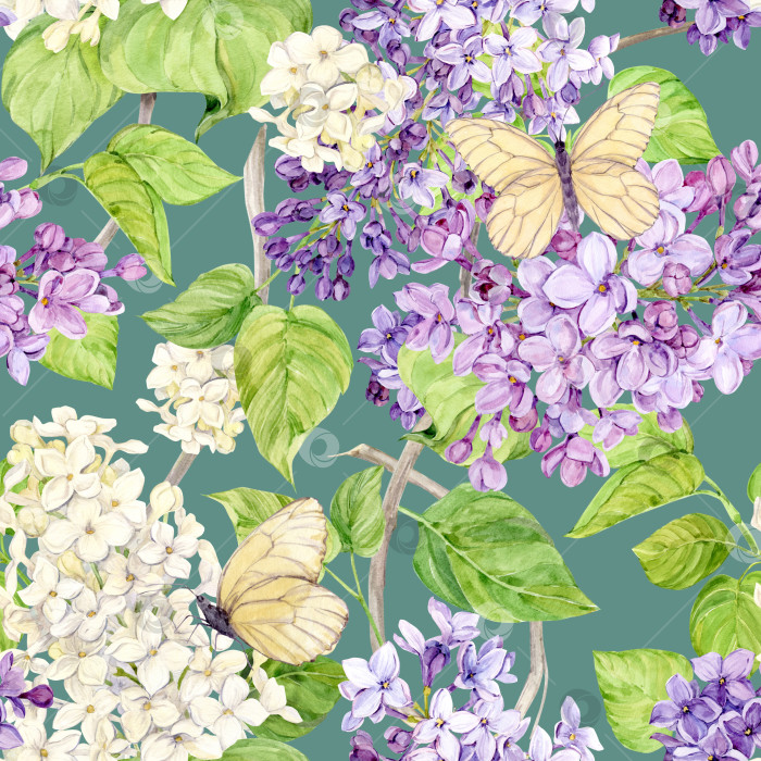Скачать Акварельный фон с сиренью и бабочками. Бесшовный фон из весенних цветов. Ботаническая рисованная иллюстрация для ткани, текстиля, обоев, оберточной бумаги. фотосток Ozero
