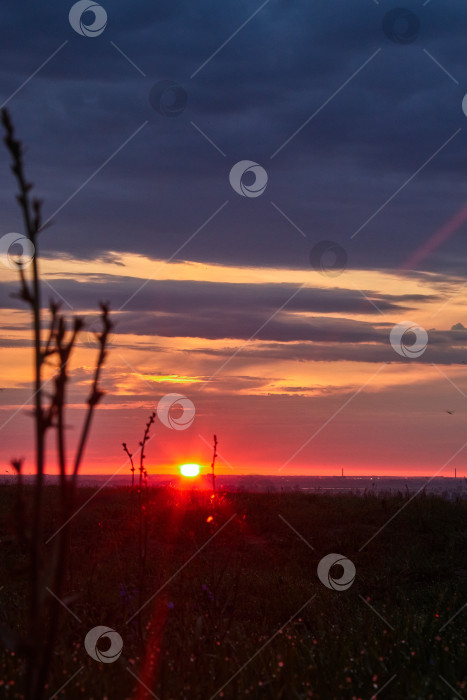 Скачать Рассвет фотосток Ozero