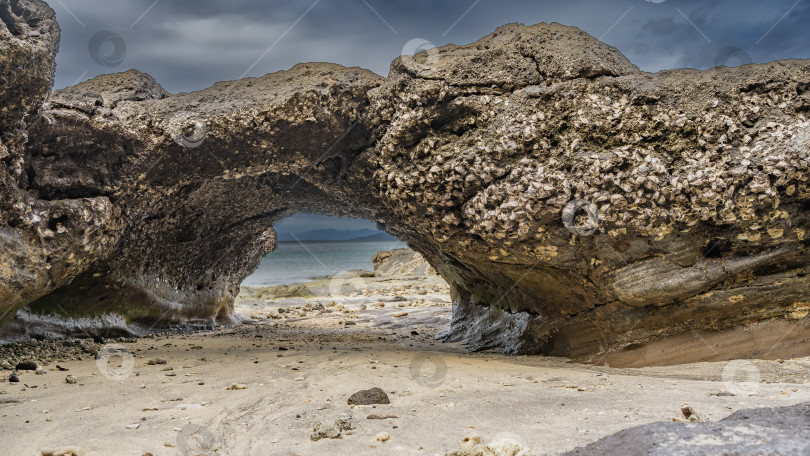 Скачать Каменная арка была обнажена во время отлива в океане. фотосток Ozero