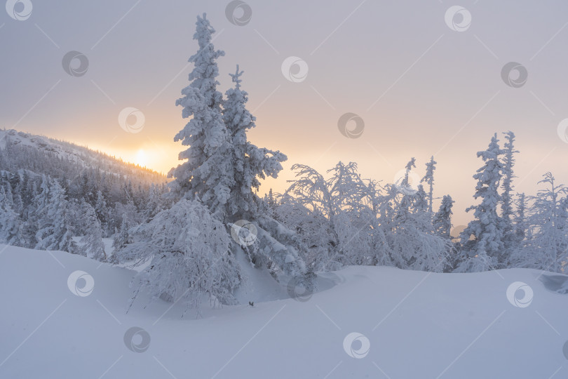 Скачать Белоснежный пейзаж фотосток Ozero