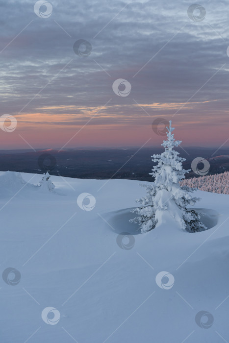 Скачать В снежном одеянии фотосток Ozero