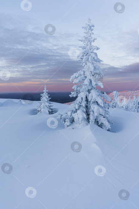 Скачать Снежные стражи фотосток Ozero