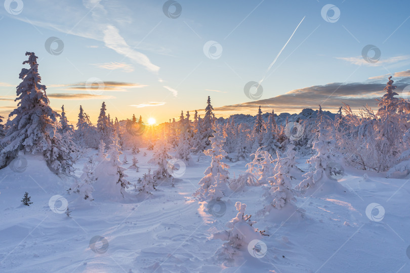 Скачать Последние лучи фотосток Ozero