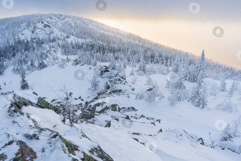 Скачать Зимний закат фотосток Ozero