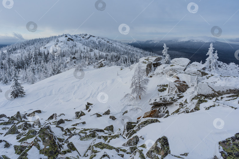 Скачать На вершине фотосток Ozero