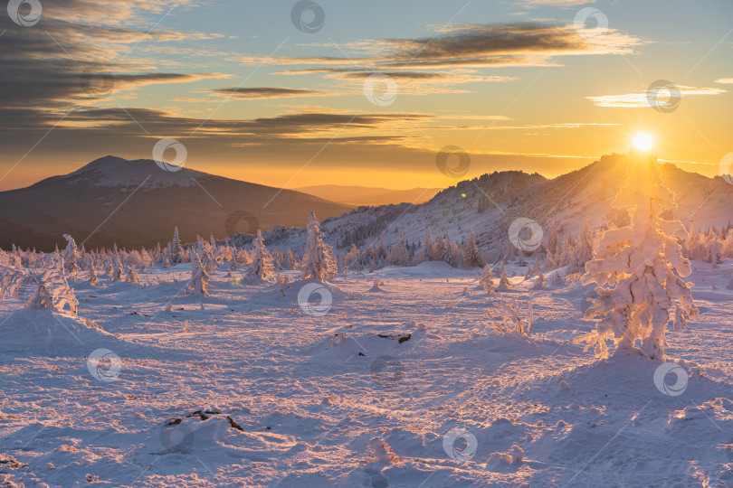 Скачать Подставка для солнца фотосток Ozero